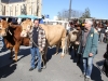 animation-de-la-boucherie-de-merignac-35