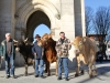 animation-de-la-boucherie-de-merignac-50