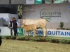 aquitanima-2015-concours-blond-d-aquitaine-93