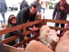 fete-de-paques-a-merignac-4-avril-2015-107