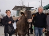 « Missou » et les Eleveurs Girondins arrivent à Mérignac - janvier 2012