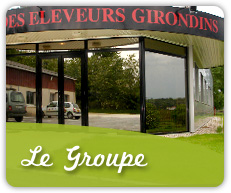 Le groupe