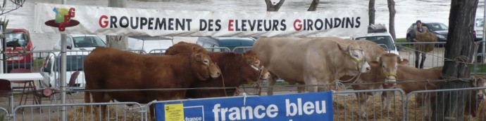 Grande ferme Langon 2011