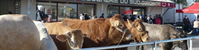 manifestation devant la boucherie de Toulenne