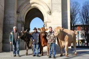 Animation de la boucherie de Mérignac février 2013