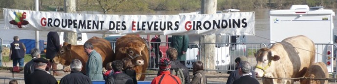 fermes en fête à Langon avec les éleveurs Girondins