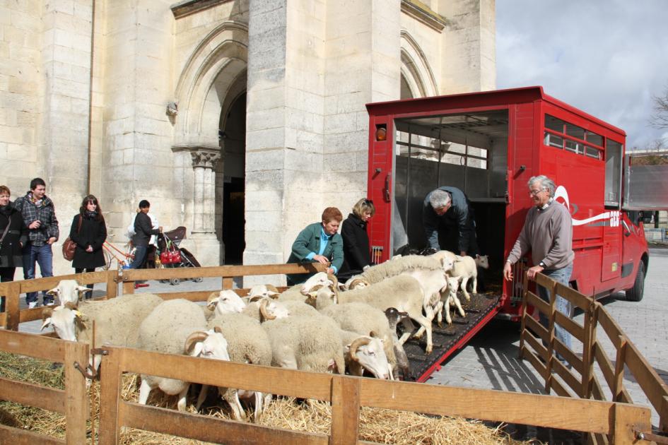 Ag Pauillac acceuil