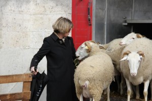 animation de la boucherie de Mérignac pour Pâques 2013