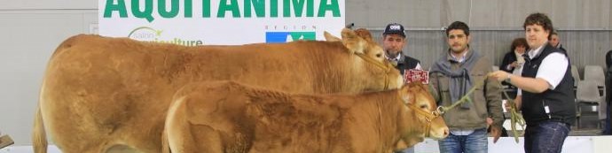 Francis Trejaut et Amande meilleur animal du concours Aquitanima 2013 à Bordeaux