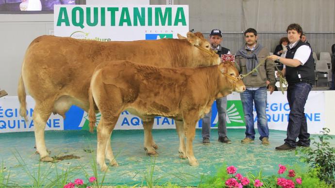 Francis Trejaut et Amande meilleur animal du concours Aquitanima 2013 à Bordeaux