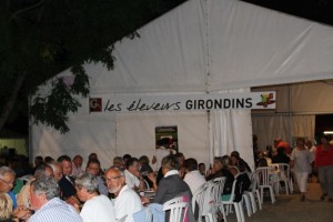 foire aux vins de langon 2013