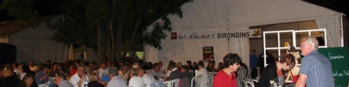 Foire aux vins et aux fromages de Langon 2013