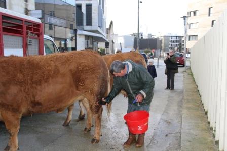 Douche et "bichonnage" des Limousines par Francis