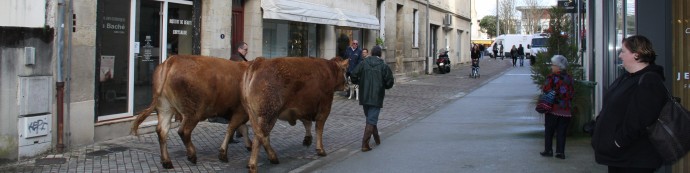 Ballade des Limousines dans la rue de la vieille église