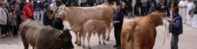 Ferme en fêtes de Langon