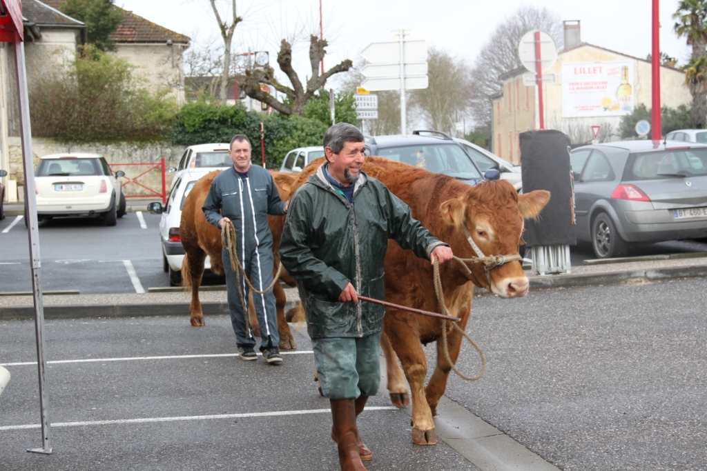 Les boeufs gras à Toulenne - samedi 1er mars 2014