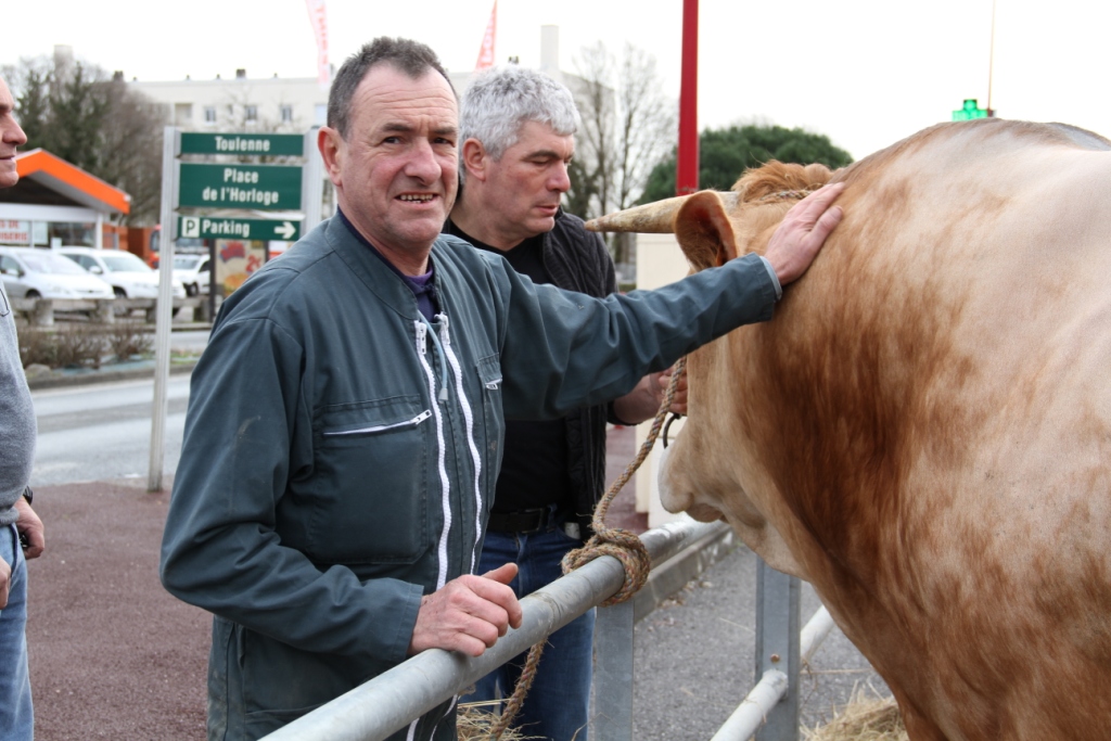 Les boeufs gras à Toulenne - samedi 1er mars 2014