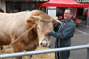 Les boeufs gras à Toulenne - samedi 1er mars 2014