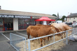 Les boeufs gras à Toulenne - samedi 1er mars 2014