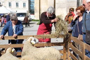 Les Eleveurs Girondins fêtent Pâques à Mérignac