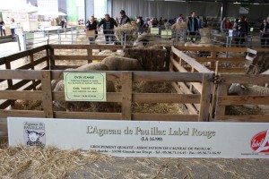 Journée agneau de Pauillac à la foire de Bordeaux 2014