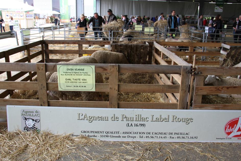 Journée agneau de Pauillac à la foire de Bordeaux 2014