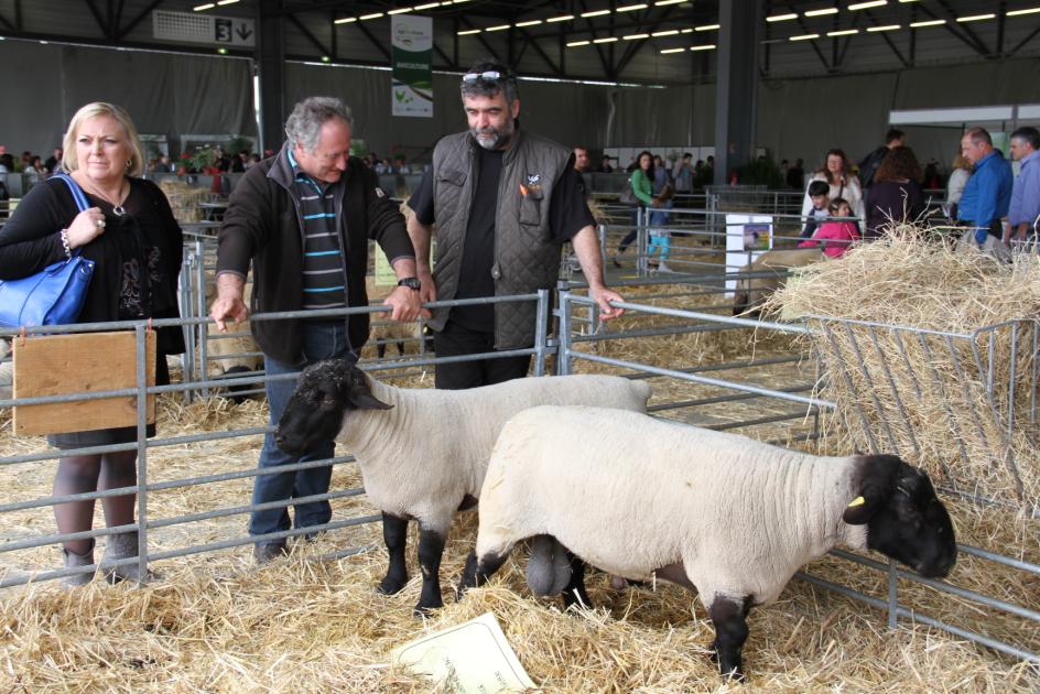 Journée agneau de Pauillac à la foire de Bordeaux 2014