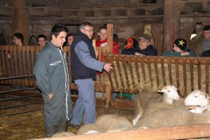 Les Ovinpiades 2015 à Gironde sur Dropt