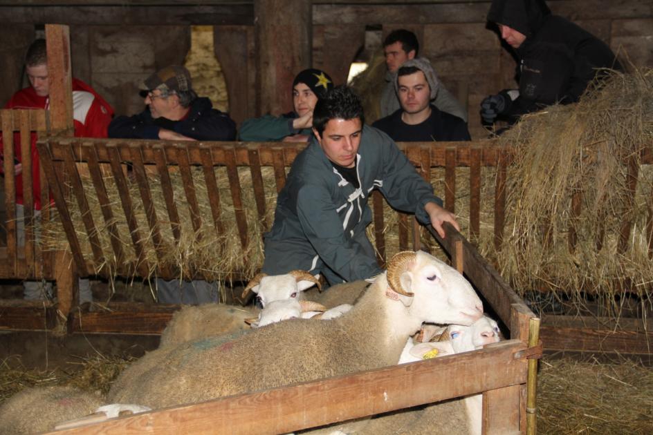 Les Ovinpiades 2015 à Gironde sur Dropt