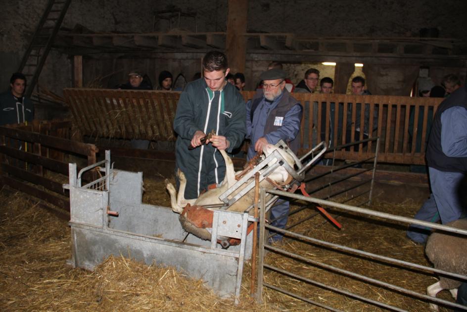 Les Ovinpiades 2015 à Gironde sur Dropt