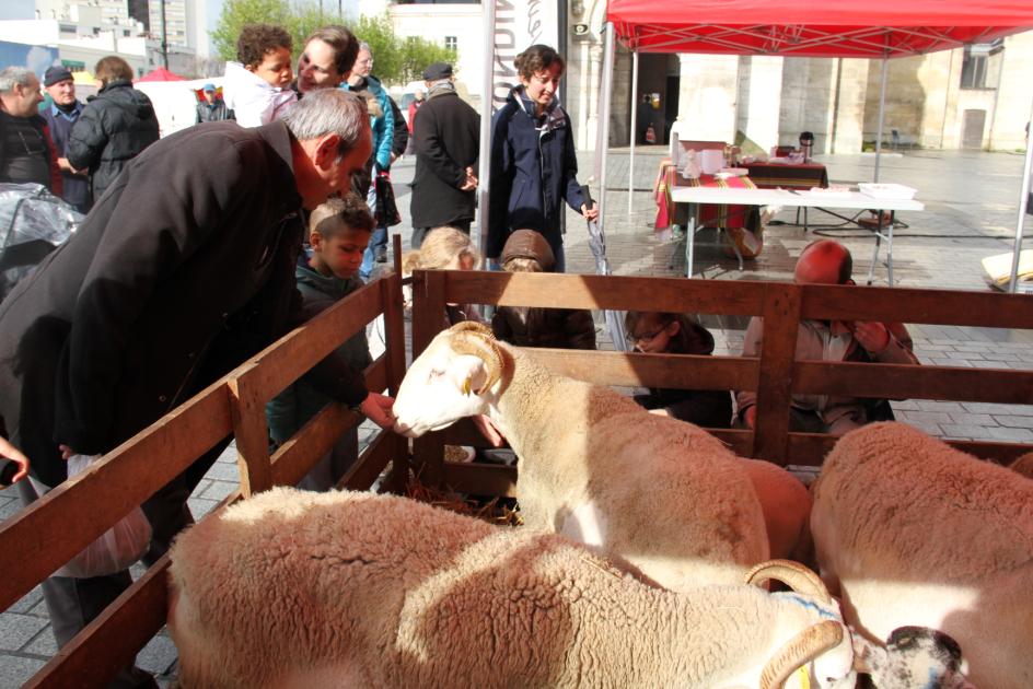 Fête de Pâques à Mérignac - avril 2015