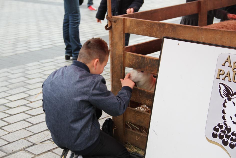 Fête de Pâques à Mérignac - avril 2015