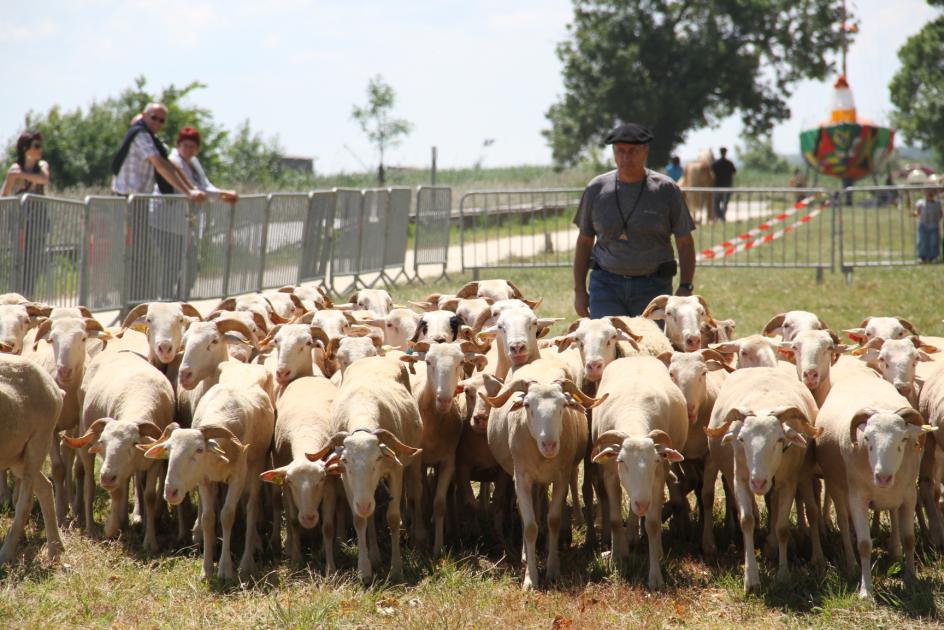Fête de l'agneau à Pauillac 2015