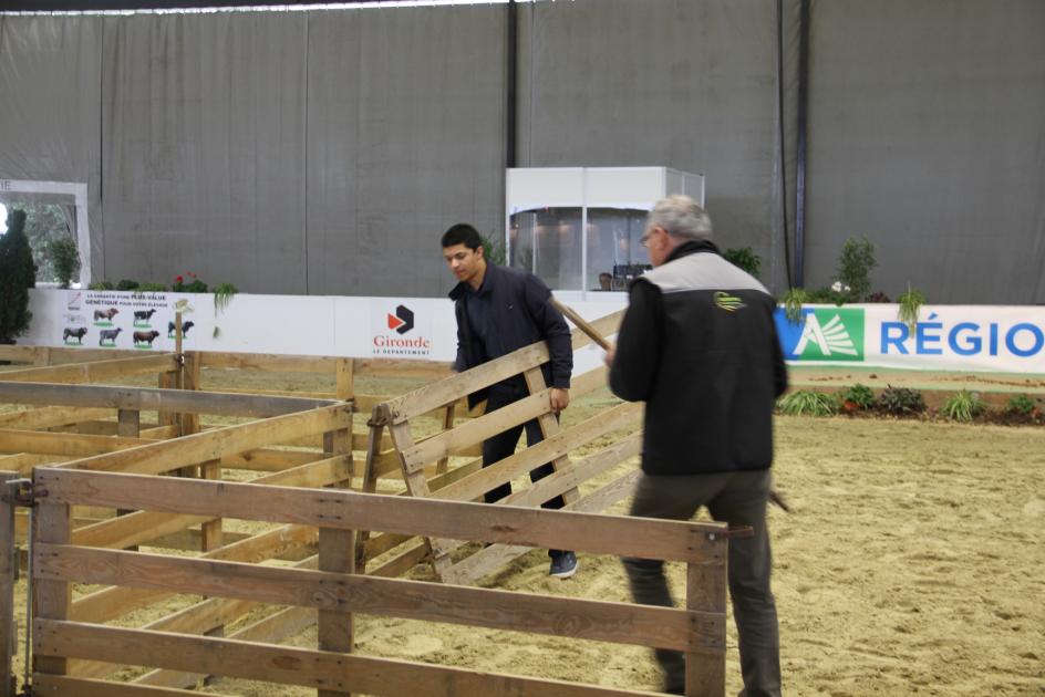 le concours de l'agneau de Pauillac - préparation