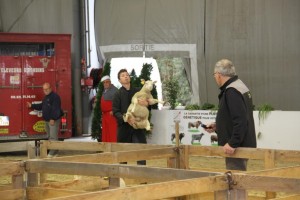 le concours de l'agneau de Pauillac - préparation