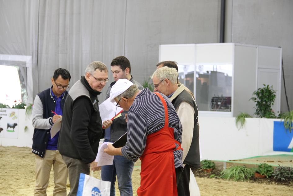 le concours de l'agneau de Pauillac - foire de Bordeaux 2015