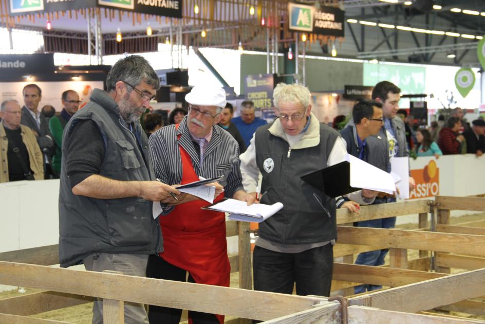 le concours de l'agneau de Pauillac - foire de Bordeaux 2015