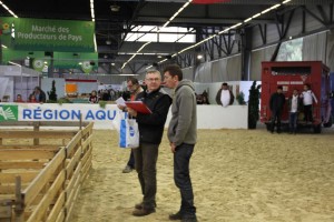 le concours de l'agneau de Pauillac - foire de Bordeaux 2015