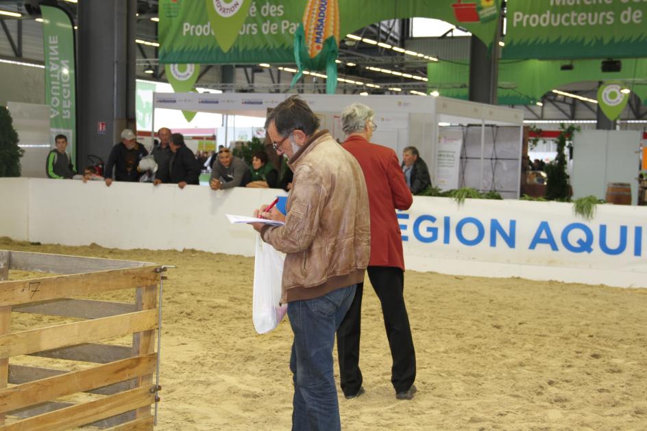 le concours de l'agneau de Pauillac - foire de Bordeaux 2015