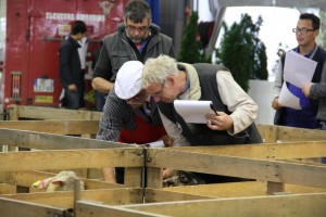 le concours de l'agneau de Pauillac - foire de Bordeaux 2015
