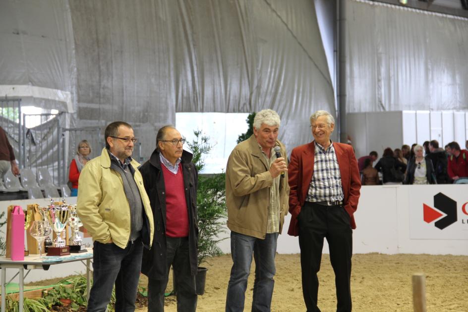 le concours de l'agneau de Pauillac - foire de Bordeaux 2015