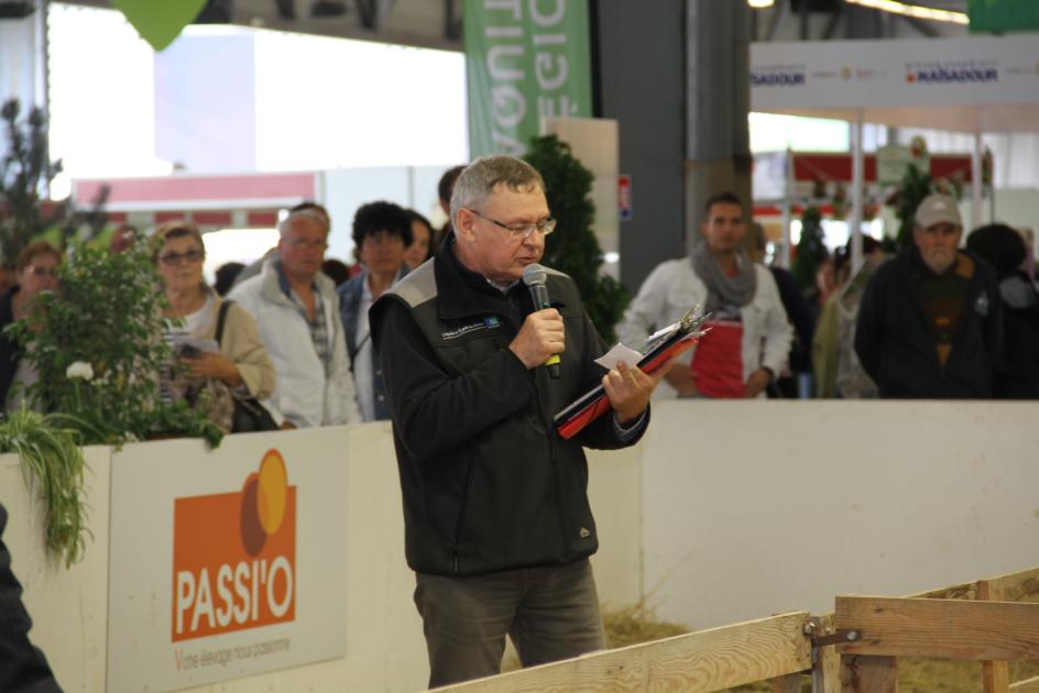 le concours de l'agneau de Pauillac - foire de Bordeaux 2015