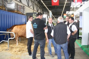 tournage du film "La vache" avec Jamel Debbouze