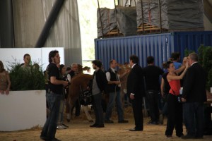 tournage du film "La vache" avec Jamel Debbouze