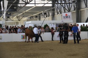 tournage du film "La Vache" à la foire de Bordeaux 2015