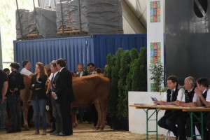 tournage du film "La vache" avec Jamel Debbouze