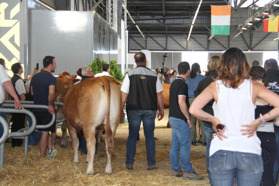 tournage du film "La vache" avec Jamel Debbouze