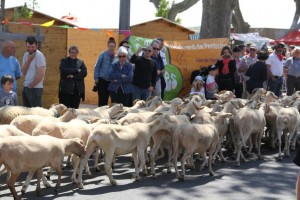 Fête de l'agneau à Pauillac 2015