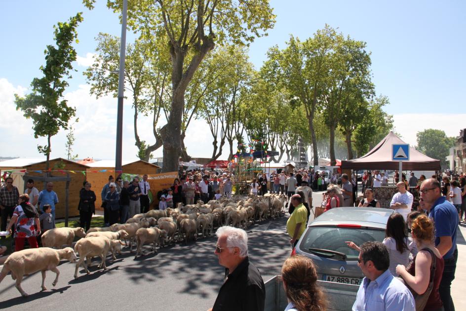 fete-de-l-agneau-pauillac-2015-37