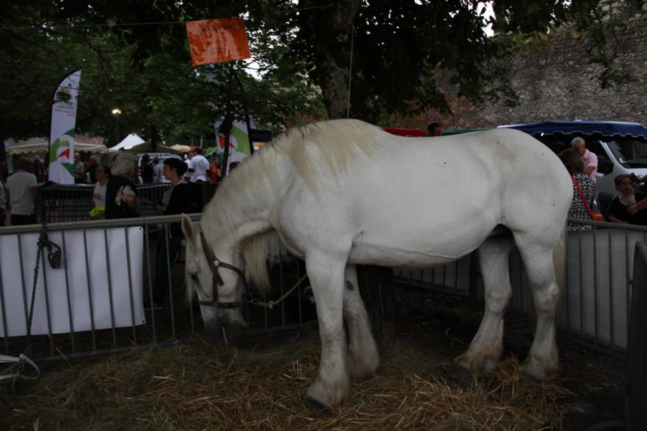 La journée de l'élevage le 12 juin 2015 à Monségur